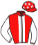 casaque portée par Hardouin E. jockey du cheval de course SEE THE DREAM, information pmu ZETURF