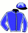 casaque portée par Duporte Mme A. jockey du cheval de course ALONZO, information pmu ZETURF casaque portée par Duporte Mme A. jockey du cheval de course ALONZO, information pmu ZETURF