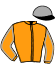 casaque portée par Carboni Con. jockey du cheval de course SPINELLO, information pmu ZETURF casaque portée par Carboni Con. jockey du cheval de course SPINELLO, information pmu ZETURF