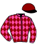casaque portée par Boisseau L. jockey du cheval de course MON IDOLE, information pmu ZETURF casaque portée par Boisseau L. jockey du cheval de course MON IDOLE, information pmu ZETURF