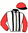casaque portée par Massin Mlle A. jockey du cheval de course HASAPIKO, information pmu ZETURF casaque portée par Massin Mlle A. jockey du cheval de course HASAPIKO, information pmu ZETURF