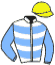 casaque portée par Madamet A. jockey du cheval de course AFOGADO, information pmu ZETURF casaque portée par Madamet A. jockey du cheval de course AFOGADO, information pmu ZETURF