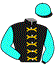 casaque portée par Koyuncu Mme S. jockey du cheval de course ALPARSLAN, information pmu ZETURF casaque portée par Koyuncu Mme S. jockey du cheval de course ALPARSLAN, information pmu ZETURF