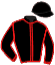 casaque portée par Besnier H. jockey du cheval de course MOONSPIRIT, information pmu ZETURF casaque portée par Besnier H. jockey du cheval de course MOONSPIRIT, information pmu ZETURF