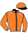casaque portée par Pearson Mlle L. jockey du cheval de course GLOR TIRE, information pmu ZETURF casaque portée par Pearson Mlle L. jockey du cheval de course GLOR TIRE, information pmu ZETURF