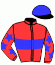 casaque portée par Ferreira N. jockey du cheval de course EPONA DE BOTOZEL (FR), information pmu ZETURF