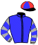 casaque portée par Bachelot T. jockey du cheval de course AMIRVANN (FR), information pmu ZETURF