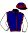 casaque portée par Pasquier S. jockey du cheval de course ROCCIA NERA (FR), information pmu ZETURF