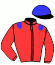 casaque portée par Nicoleau J. jockey du cheval de course TINAS DREAM (FR), information pmu ZETURF