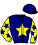 casaque portée par Dieudegard Mlle D. jockey du cheval de course HONEY D'EPLESSIER, information pmu ZETURF