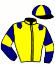 casaque portée par Delamare Mlle C. jockey du cheval de course GREAT LADY (FR), information pmu ZETURF