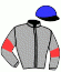 casaque portée par Renard A. jockey du cheval de course JOURNEE EN MER, information pmu ZETURF