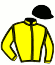 casaque portée par Riou C. jockey du cheval de course RAFFLES SPEED, information pmu ZETURF