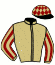 casaque portée par Velon Mlle M. jockey du cheval de course YOU ROCK, information pmu ZETURF
