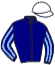 casaque portée par Lajon W. jockey du cheval de course ARMA DAZ, information pmu ZETURF