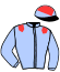 casaque portée par Riou C. jockey du cheval de course PRINCESSE DE VEGUY, information pmu ZETURF