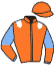 casaque portée par Riou C. jockey du cheval de course ARCACHON, information pmu ZETURF casaque portée par Riou C. jockey du cheval de course ARCACHON, information pmu ZETURF