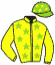 casaque portée par Mayeur R. jockey du cheval de course KATHLEEN, information pmu ZETURF casaque portée par Mayeur R. jockey du cheval de course KATHLEEN, information pmu ZETURF