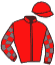 casaque portée par Viel G. jockey du cheval de course PAULINO, information pmu ZETURF casaque portée par Viel G. jockey du cheval de course PAULINO, information pmu ZETURF