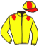 casaque portée par Mayeur R. jockey du cheval de course SOIE DE COEUR, information pmu ZETURF casaque portée par Mayeur R. jockey du cheval de course SOIE DE COEUR, information pmu ZETURF