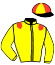 casaque portée par Mayeur R. jockey du cheval de course DE VIVE VOIX, information pmu ZETURF casaque portée par Mayeur R. jockey du cheval de course DE VIVE VOIX, information pmu ZETURF