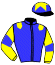 casaque portée par Boisseau L. jockey du cheval de course SCAT LADY, information pmu ZETURF