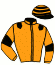 casaque portée par Le Gland Mlle C. jockey du cheval de course BATESCA, information pmu ZETURF