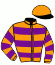casaque portée par Bails Mlle L. jockey du cheval de course MYSTERY TRAIN, information pmu ZETURF