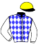 casaque portée par Forest M. jockey du cheval de course DANCING IN THE SKY, information pmu ZETURF