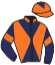 casaque portée par Molins Mme Amb. jockey du cheval de course DULINI, information pmu ZETURF