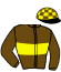 casaque portée par Cheyer Mme Per. jockey du cheval de course HUMBABA D'AGROSTIS, information pmu ZETURF