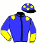 casaque portée par Lecoeuvre C. jockey du cheval de course AMAGI, information pmu ZETURF