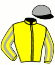 casaque portée par Roussel Leo jockey du cheval de course CARNIVAL QUEEN, information pmu ZETURF