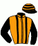 casaque portée par Molins Mme Amb. jockey du cheval de course ELYSTED, information pmu ZETURF