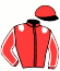 casaque portée par Nomis L. jockey du cheval de course A NOS SOUVENIRS, information pmu ZETURF