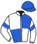 casaque portée par Herve Mme Mae. jockey du cheval de course ROYAL TURF, information pmu ZETURF
