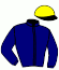 casaque portée par Barzalona M. jockey du cheval de course MAITRE DE CHANT, information pmu ZETURF casaque portée par Barzalona M. jockey du cheval de course MAITRE DE CHANT, information pmu ZETURF