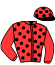 casaque portée par Bourgeais B. jockey du cheval de course VINYANN ST LAURENT, information pmu ZETURF casaque portée par Bourgeais B. jockey du cheval de course VINYANN ST LAURENT, information pmu ZETURF
