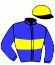 casaque portée par Briand Y. A. jockey du cheval de course HERO DE CEREY, information pmu ZETURF