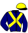 casaque portée par Briand Y. A. jockey du cheval de course FANGIO DU GUESCLIN, information pmu ZETURF casaque portée par Briand Y. A. jockey du cheval de course FANGIO DU GUESCLIN, information pmu ZETURF