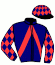 casaque portée par Thienne B. jockey du cheval de course GUEPARD GRIFF, information pmu ZETURF casaque portée par Thienne B. jockey du cheval de course GUEPARD GRIFF, information pmu ZETURF