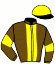 casaque portée par Fresneau Mlle K. jockey du cheval de course FALCO DA VINCI, information pmu ZETURF casaque portée par Fresneau Mlle K. jockey du cheval de course FALCO DA VINCI, information pmu ZETURF