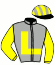 casaque portée par Tietz Tho. jockey du cheval de course FLASH DE JOUX (FR), information pmu ZETURF