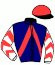 casaque portée par Dersoir J. L. Cl. jockey du cheval de course HIRONDELLE FEE (FR), information pmu ZETURF