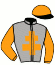 casaque portée par Lecanu F. jockey du cheval de course I AM JACK (FR), information pmu ZETURF