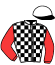 casaque portée par Nivard F. jockey du cheval de course GLADIATEUR TURGOT (FR), information pmu ZETURF
