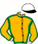 casaque portée par Nivard F. jockey du cheval de course MARTIN DE BOS (SE), information pmu ZETURF