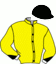 casaque portée par Van Eeckhaute J. G. jockey du cheval de course BRILLANT FERM (IT), information pmu ZETURF