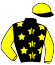 casaque portée par Raffin E. jockey du cheval de course FEE LUCERNAISE (FR), information pmu ZETURF