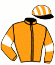 casaque portée par Lecanu F. jockey du cheval de course GAULE ROMAINE (FR), information pmu ZETURF